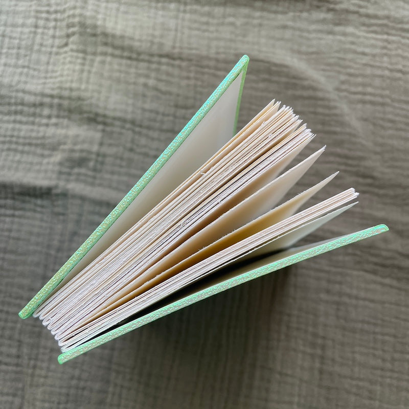 Small Sparkly Green Book