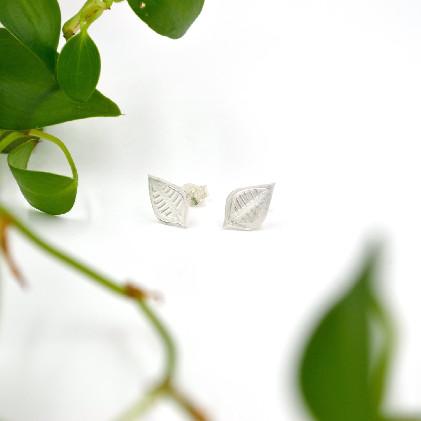 earrings large silver post earrings leaf shape white background with some leaves